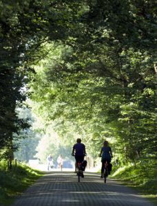 fietsen in montferland