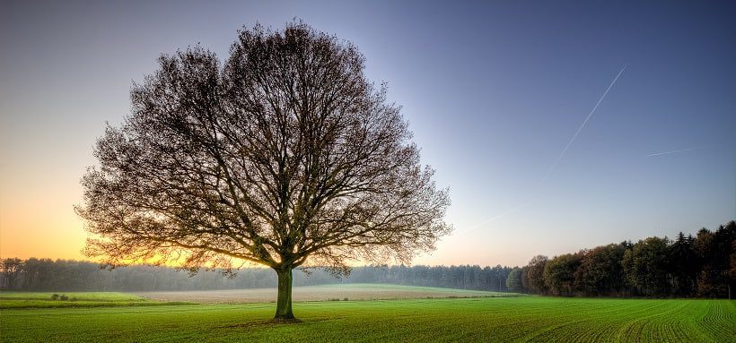 Oude Eltenseweg Boterweg Beek