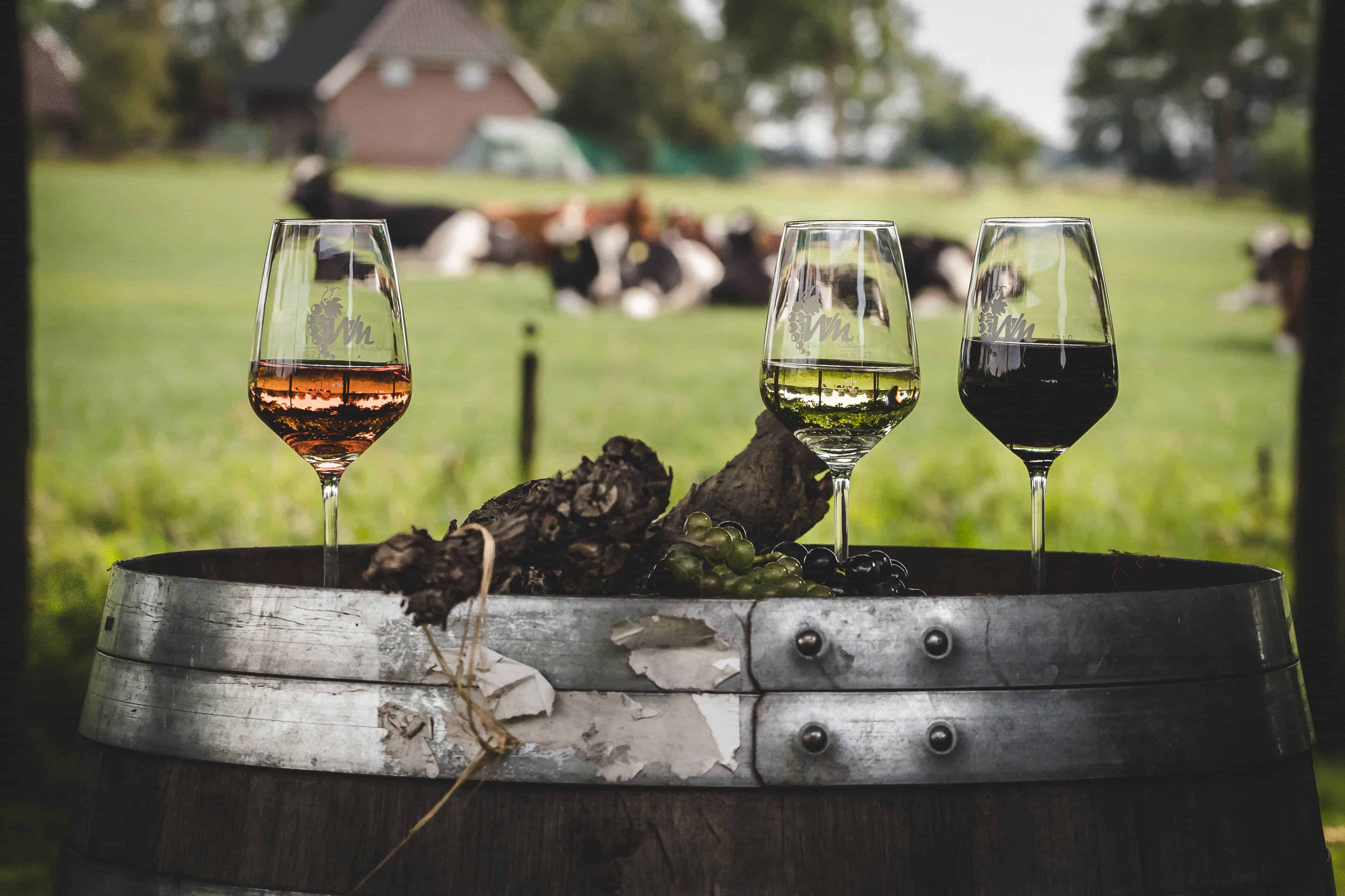 Wijngoed Montferland