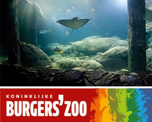 BurgersZoo Montferland Online